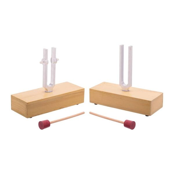 Tuning Forks, Set of 2, Superior