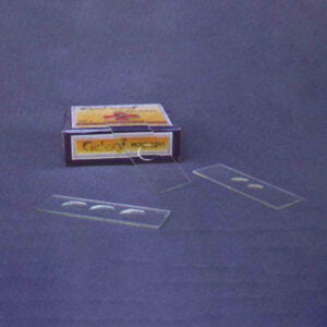 Microscope Cavity Slides