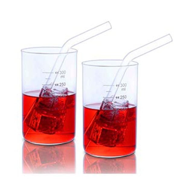 Glass Tumbler (with Graduation) & Glass Straw Set of 2