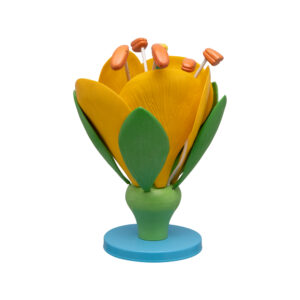 TYPICAL FLOWER