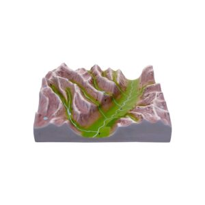 Frozen Majesty the Glacier Sculpture Legacy (Glaciation)