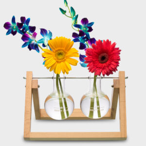 Wooden Planter Hanging Type (Table Top)