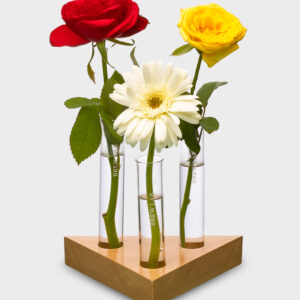 Triangle Planter Table Top / with 3 Test Tubes