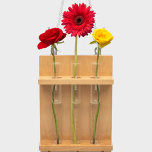 Wooden frame Test Tube Planter