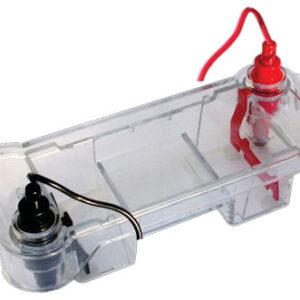 Electrophoresis Horizontal Mini-Gel